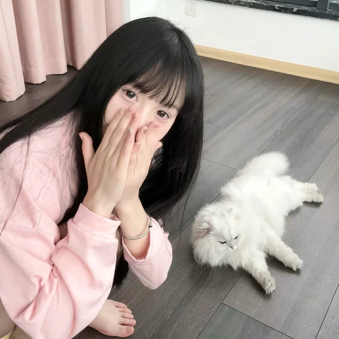 邻居大战2：姐妹会崛起